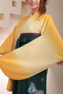 黄&緑袴フルセット
