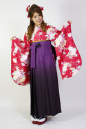 赤地古典柄&紫袴フルセット